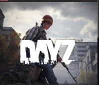DayZ